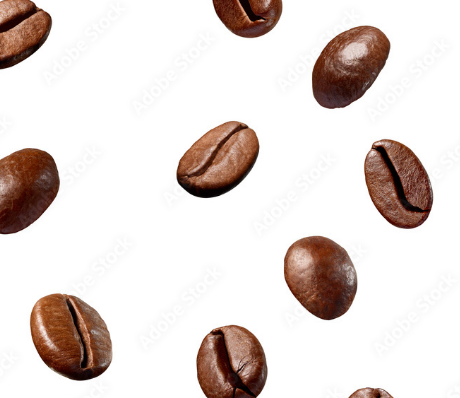 Coffee Seed Extract