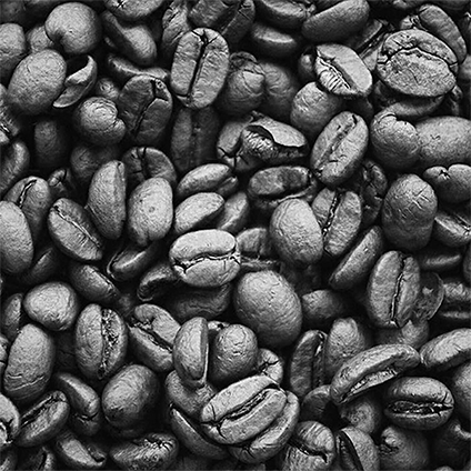 Extracto de semilla de café