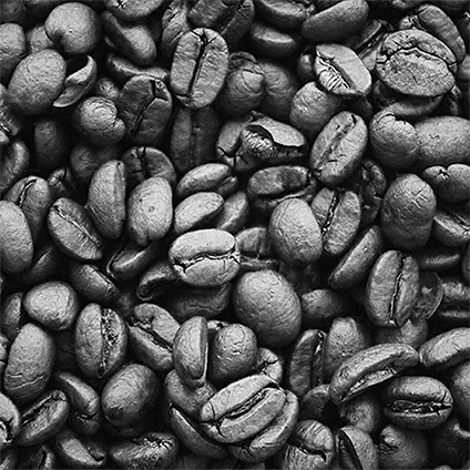 Coffee Seed Extract